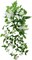 Artificial Vines for Decoration with Flowers 2 Pcs Hanging Plants Silk Garland White Morning Glory Vine Artificial Plants Outdoors 15Feet Fake Vine Plants for Wedding Indoor Wall Fence Baskets